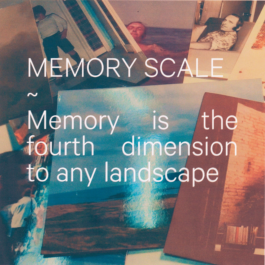 Memory Scale